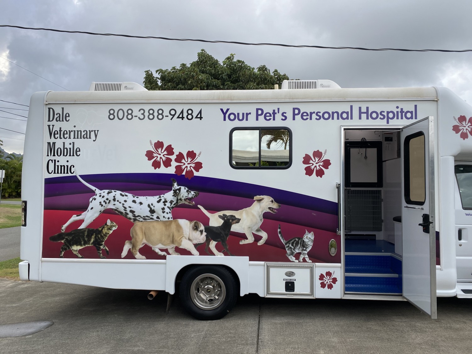 Come inside to see the tools we use to help your pet stay healthy. Serving Waimanalo, Kailua, Kaneohe, Kahaluu, Hawaii Kai, Kaaawa, Laie, Punaluu and Kahuku.