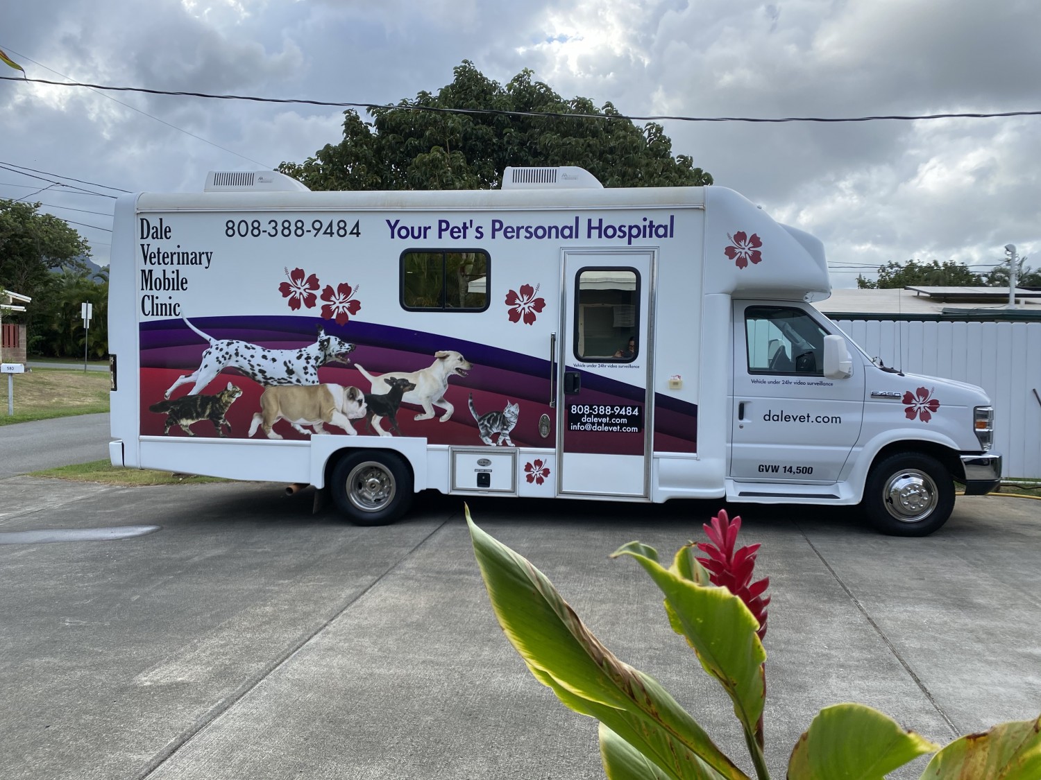 Dale Mobile Veterinary Clinic is fully equipped for house call exams, routine and supportive care, X-rays, surgery and dental services. Serving Waimanalo, Kailua, Kaneohe, Ahuimanu, Waiahole, Waikane, Kahaluu, Kaaawa, Hauula, Punaluu, Laie, Kahuku