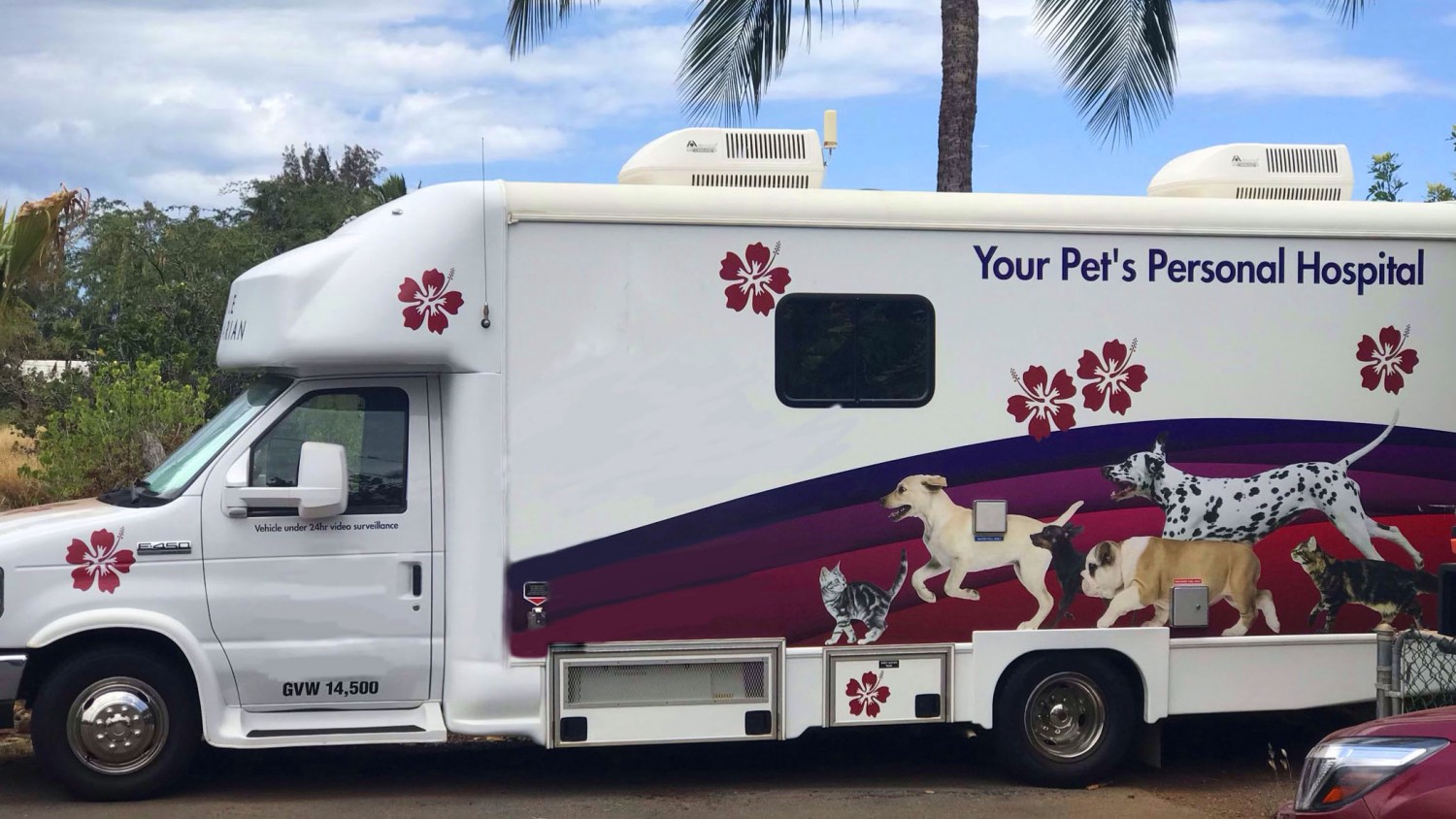 Home Dale Veterinary Mobile Clinic Kailua, Waimanalo, Kaneohe and